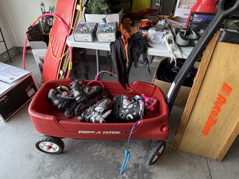 IMG 1218 768x576
